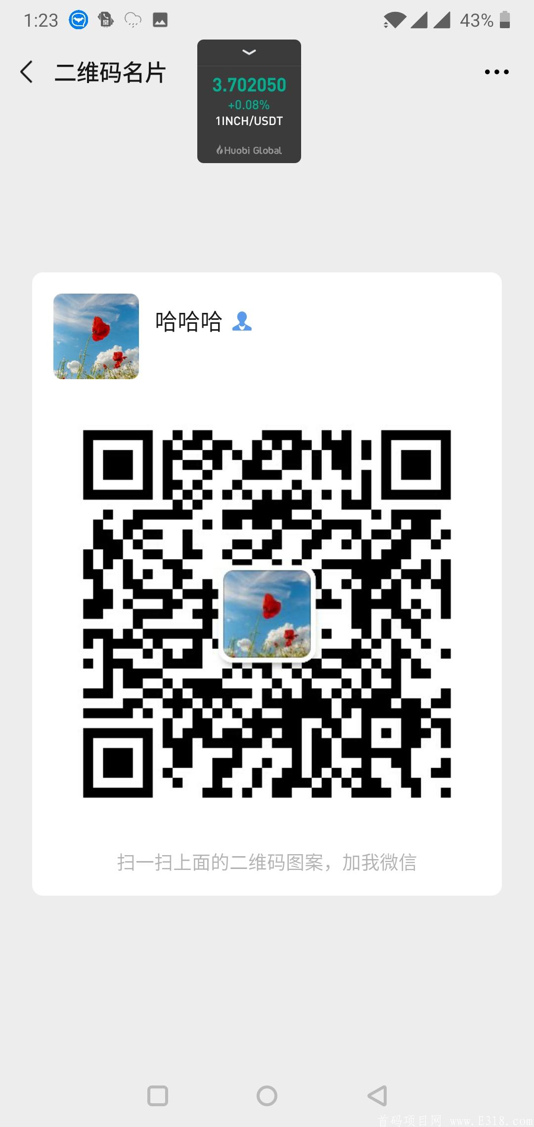 国际项目公链对接