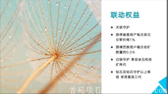 生活家_前4万人注册认证领2台引擎,45天产20币,一币可卖,手续费25%，团队化推广