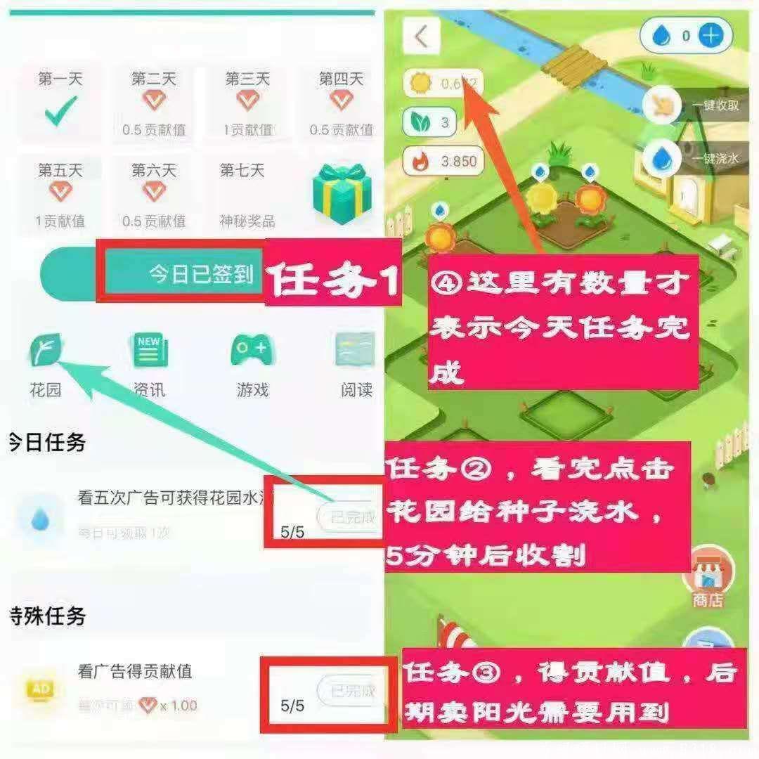 毛虫日记一币8块