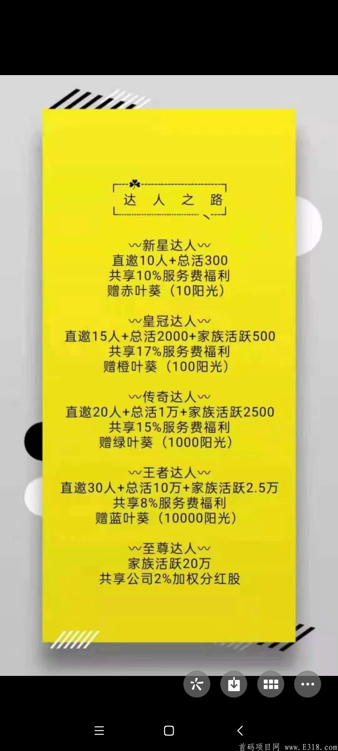 毛虫日记一币8块