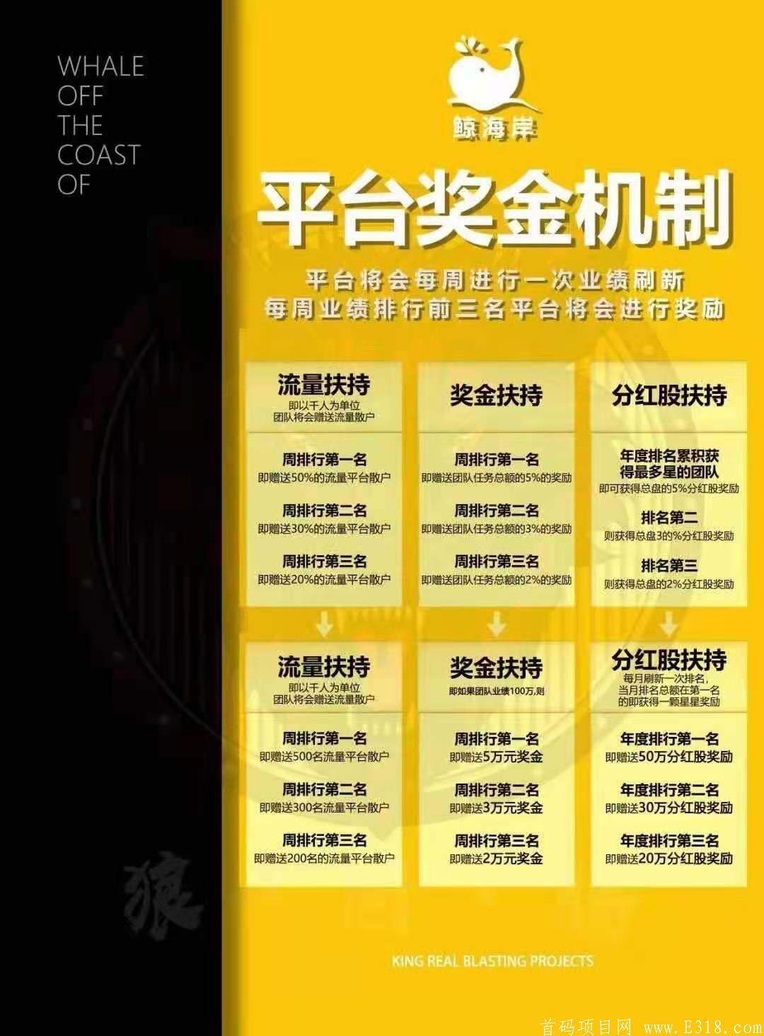 零撸鲸海岸，日入100+，欢迎对接