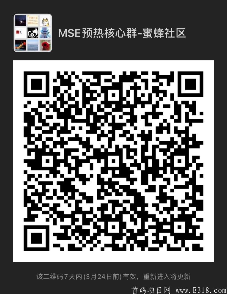 全新黑马项目：MSE制度极佳对接各大团队