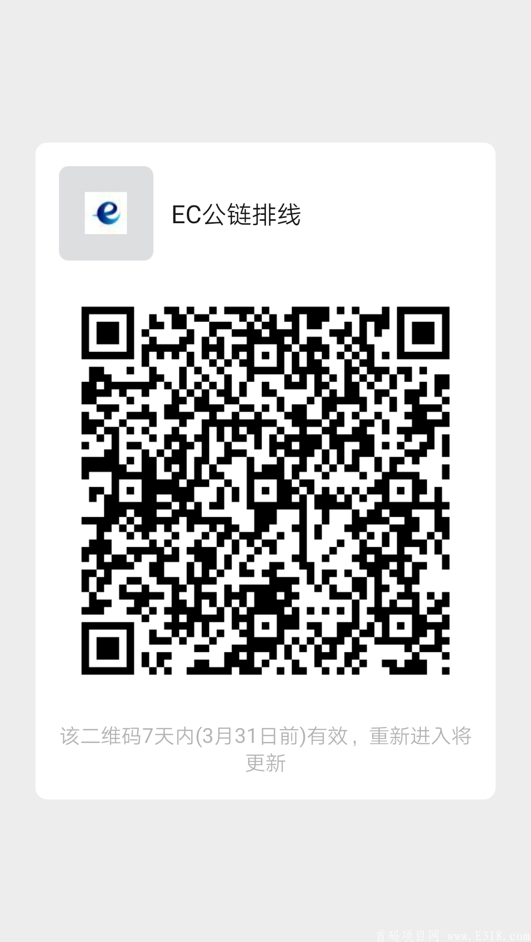 EC公链高扶持对接团队长，可排线