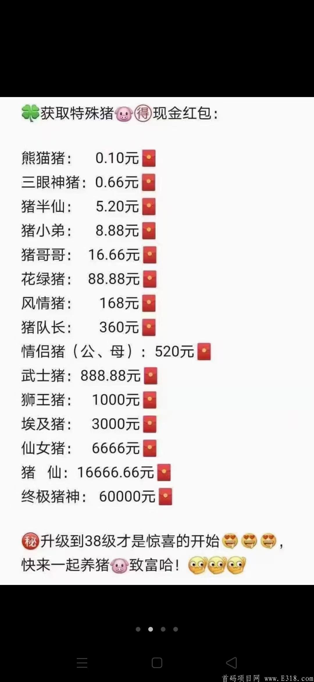 一起来养猪:最稳定项目，真正可以撸到钱的平台！