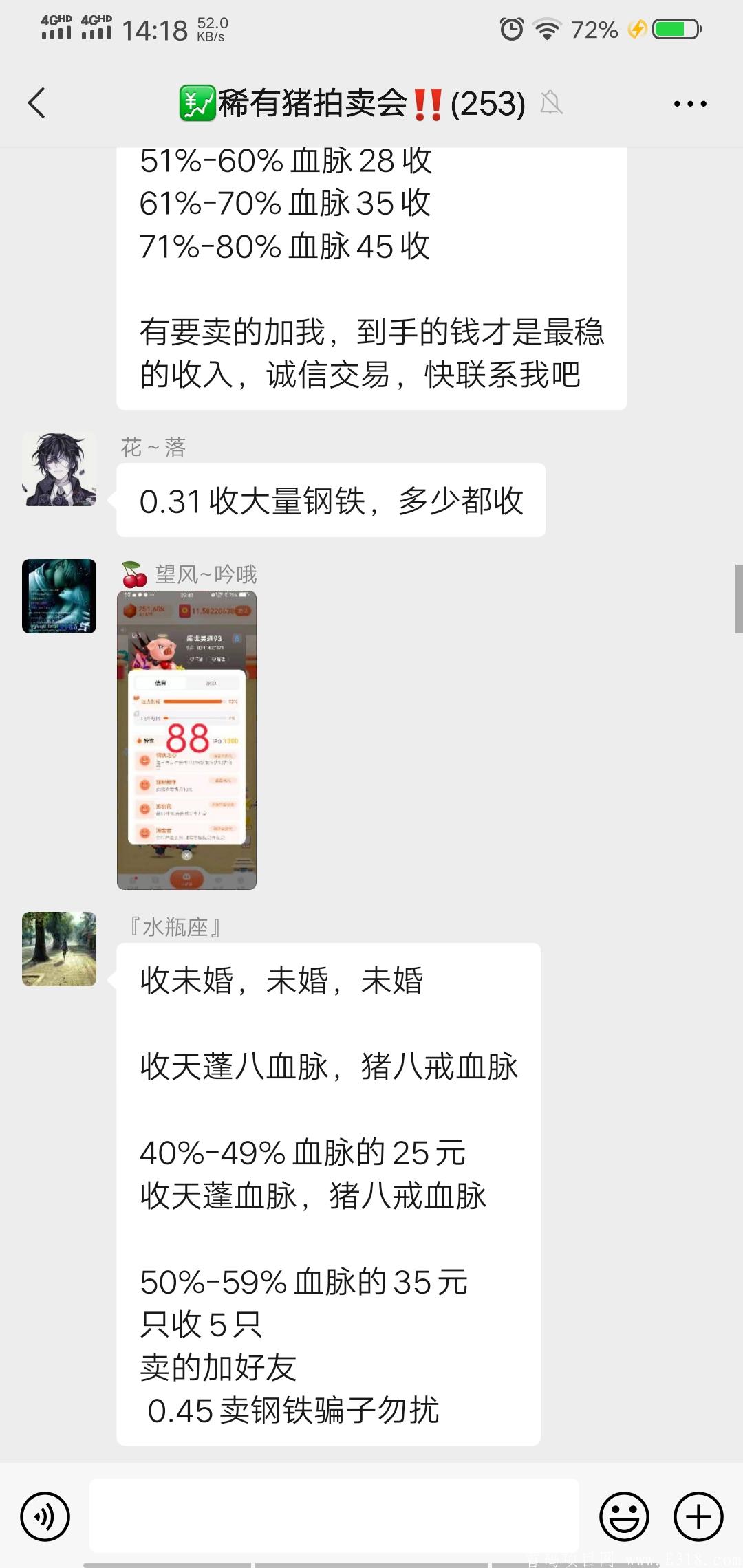 一起来养猪:最稳定项目，真正可以撸到钱的平台！