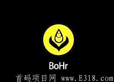 BoHr波尔公链:月撸10币，币价45元，已上a网交易所