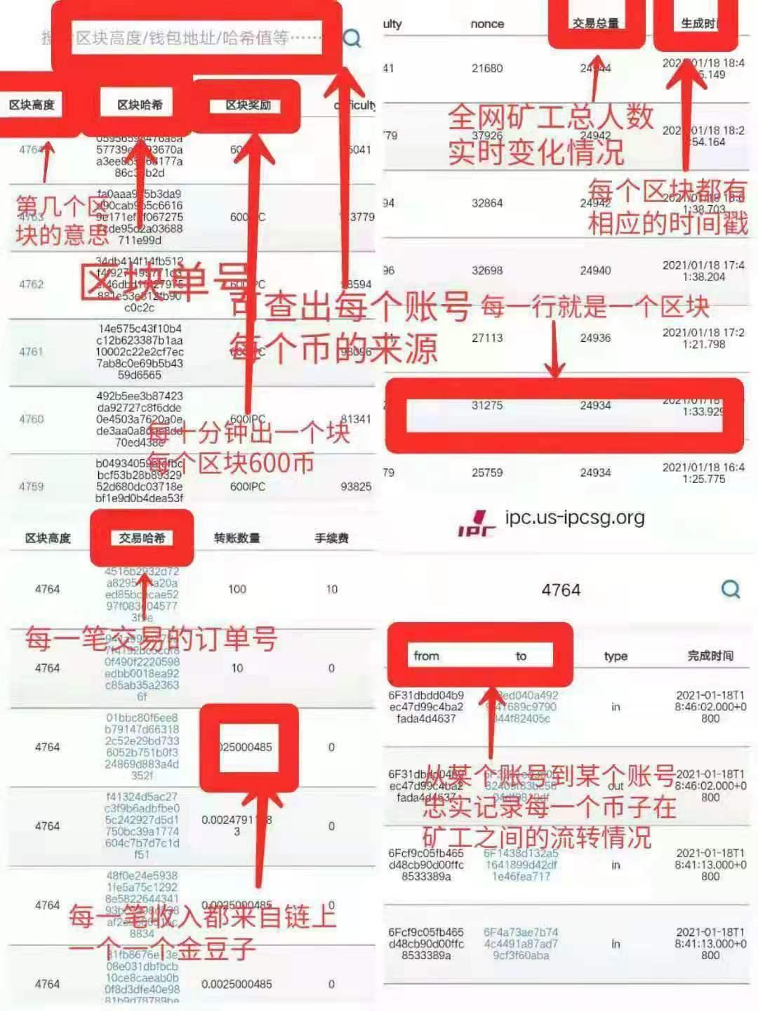 ipc公链，15天登录一次即可撸，0.1币秒卖，现价20元一枚
