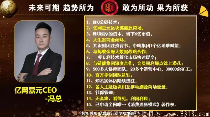 亿网嘉元。全网首创模式。排线中。直推上星高扶持