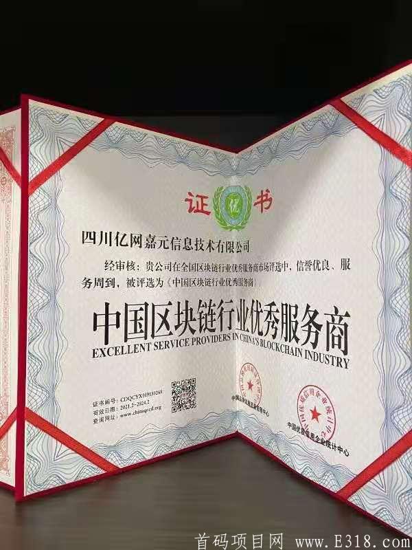 亿网嘉元。全网首创模式。排线中。直推上星高扶持