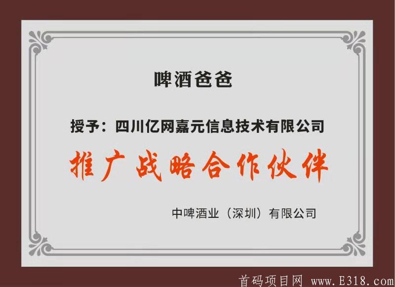 亿网嘉元《双币互消》排线中》直推上星高扶持