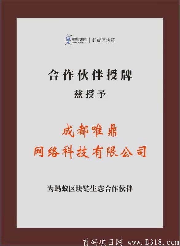 亿网嘉元《双币互消》排线中》直推上星高扶持