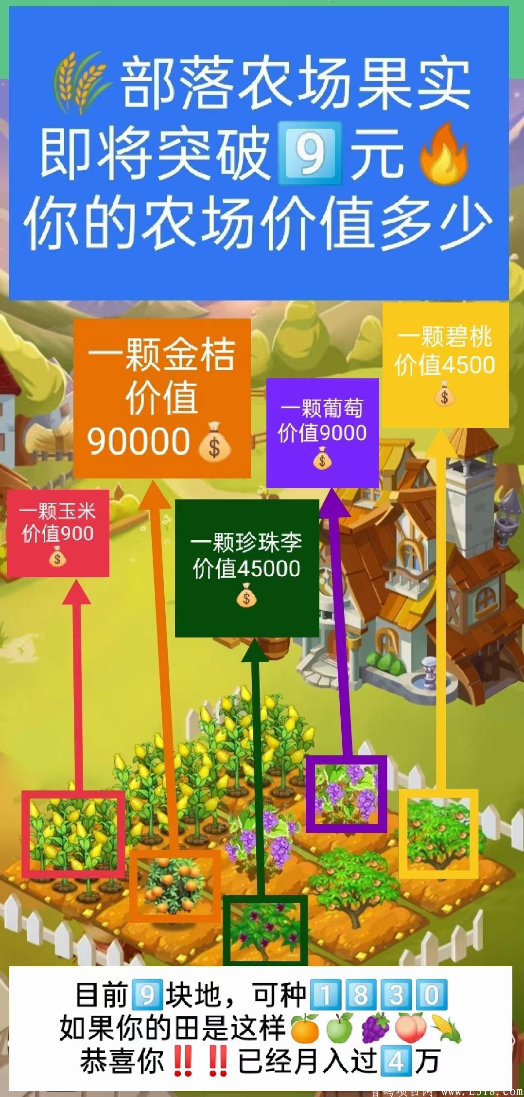 长久项目部落农场目前已每果9元2.0月底上线