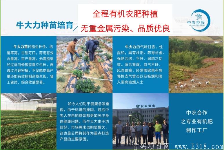 聚跑排线连长50开始兜底速度占位