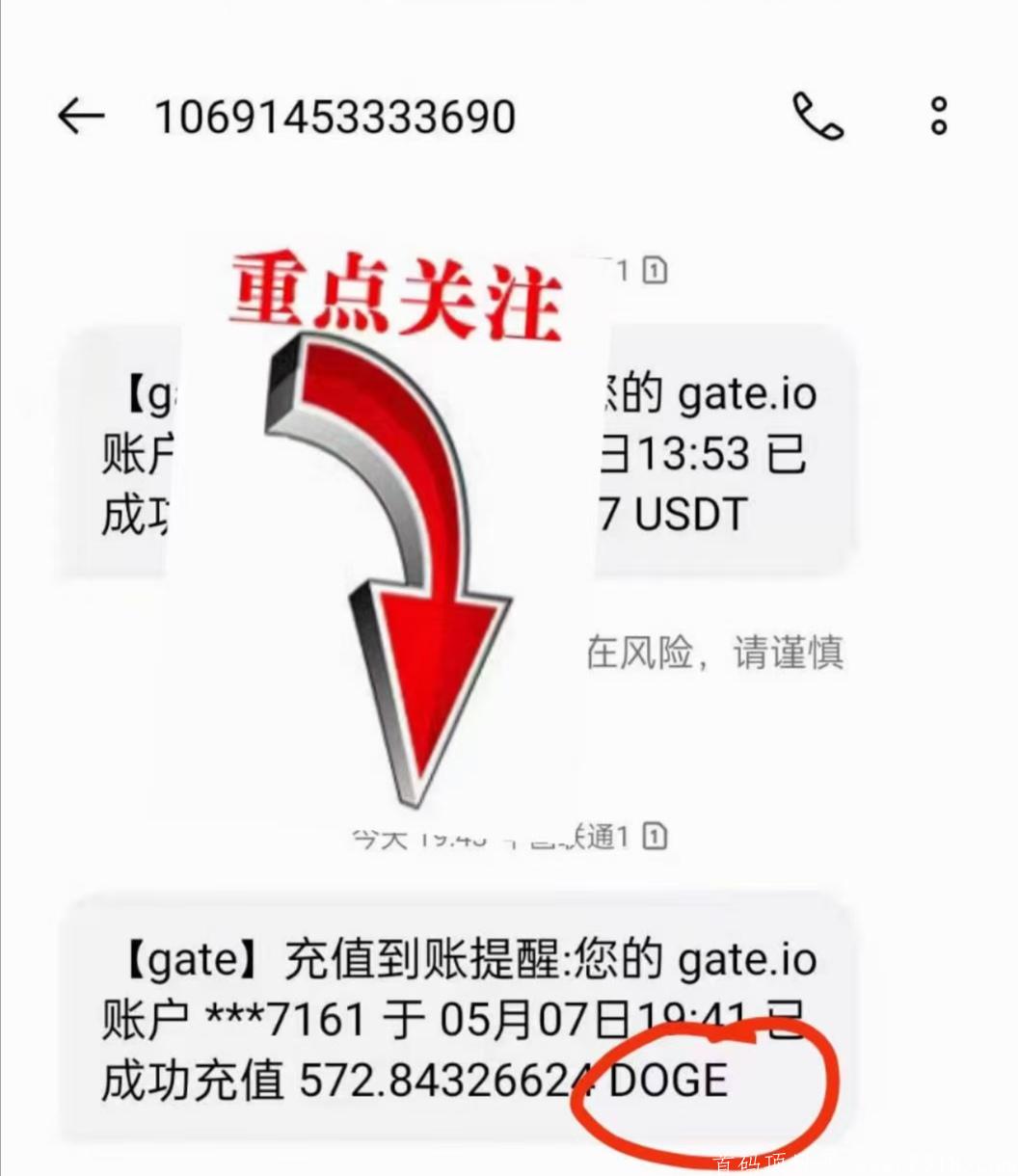 养只可爱的小柴犬帮你**！