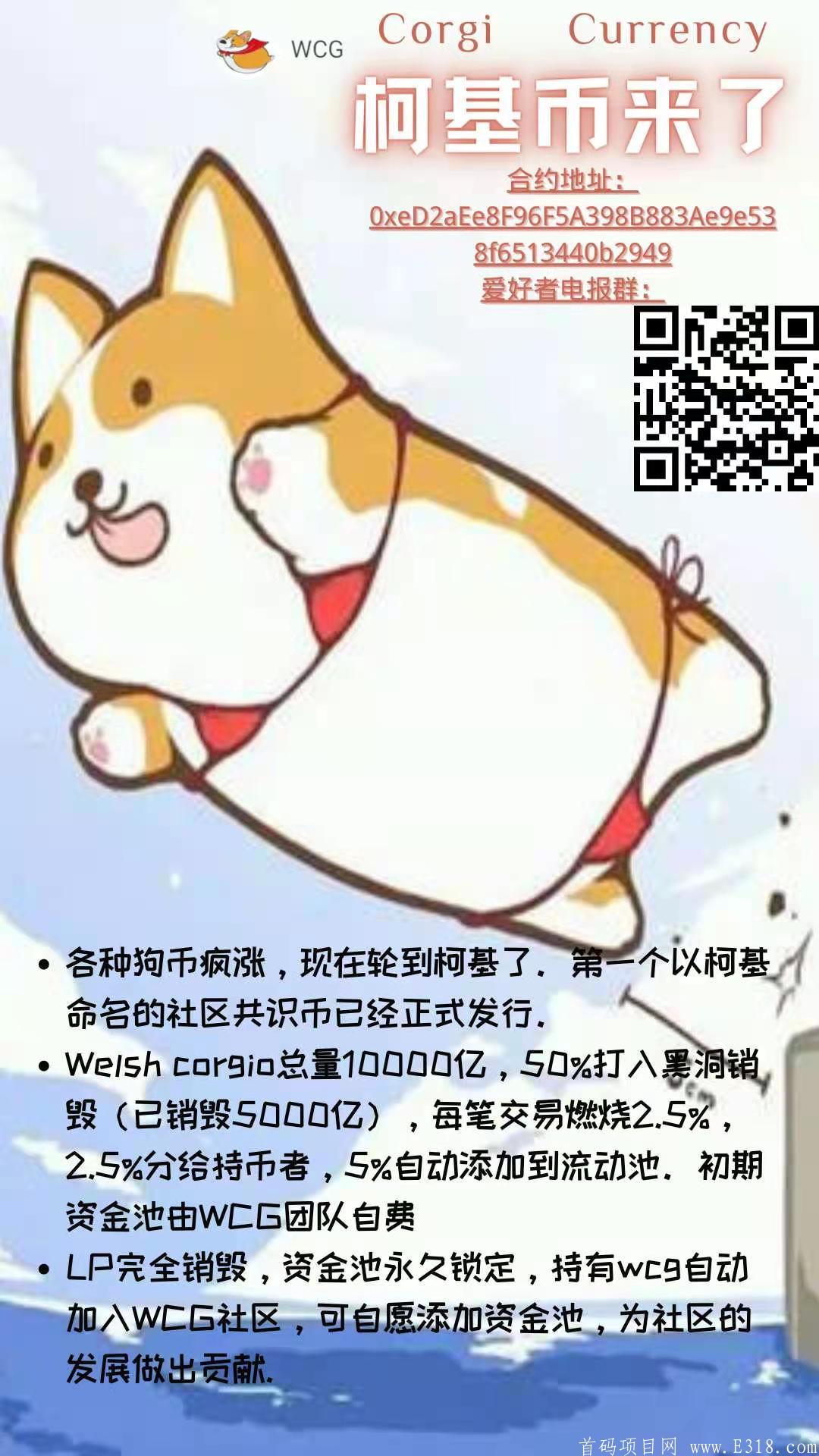 空投柯基币,速度领取