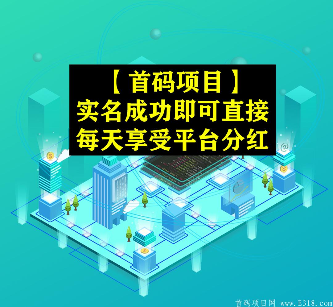 [首码新项目] 黑蚁生态注册实名直接每天可领平台**