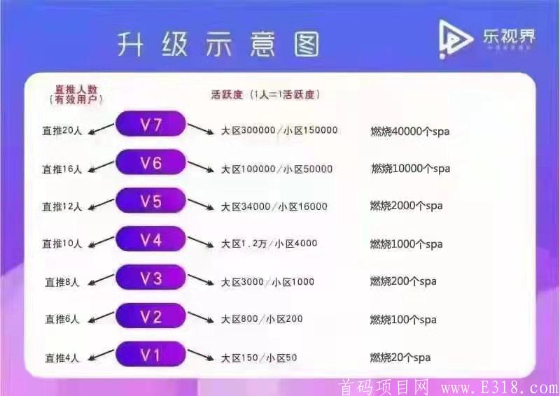首码  乐视界排线，稳定项目