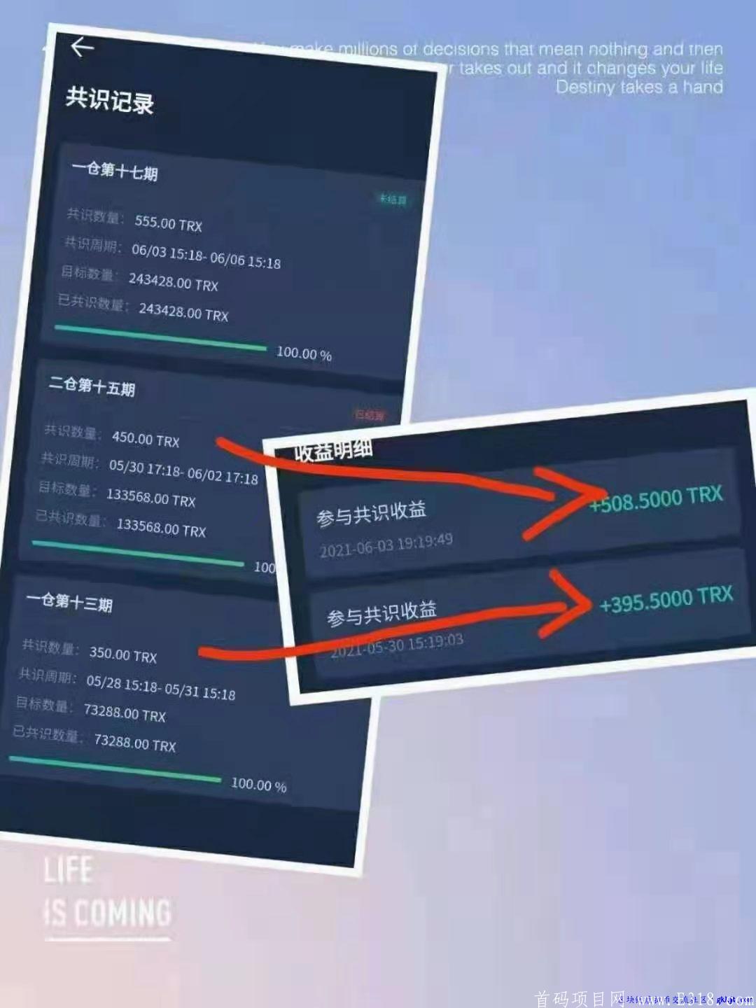 【TRX共识】2021神盘  月入六位数，你不可错过