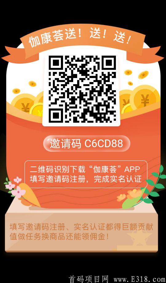 首码项目，推广5人，每天坐等**