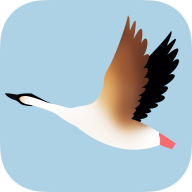 速赚首码刚出，鲨鱼阅读新台-小伙伴们赶紧来免费上车