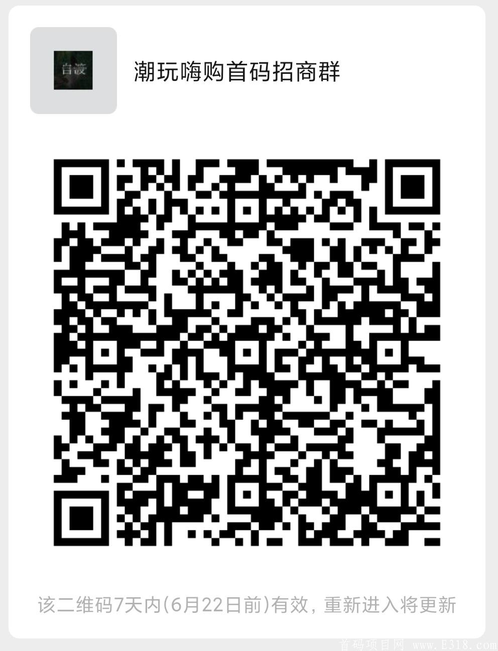 潮玩嗨购拼团，全网对接，一手资源，扶持拉满