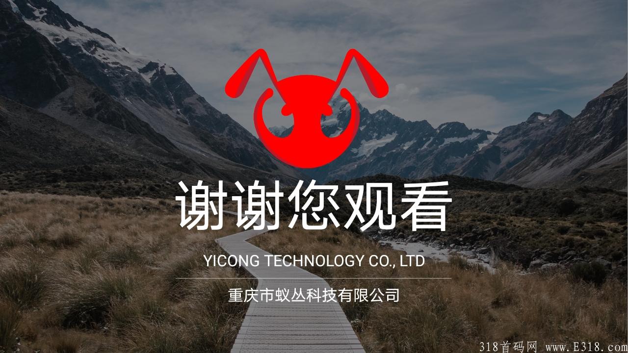 卷轴模式黑马  排线另**扶持3块