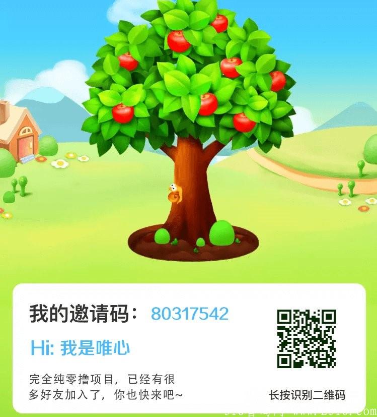 首码落地百恰项目，平台重金扶持推广用户，每天生产0.9黄金果，可直接兑换现金，可交*所交易。