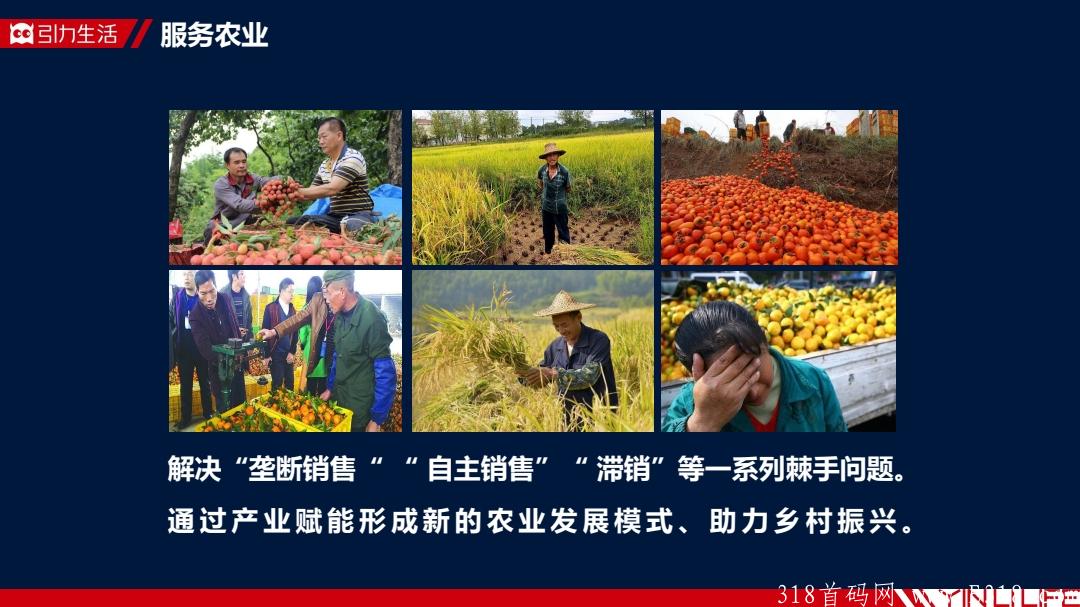 引力生活，全民免费领取怪蜀黍胚芽米