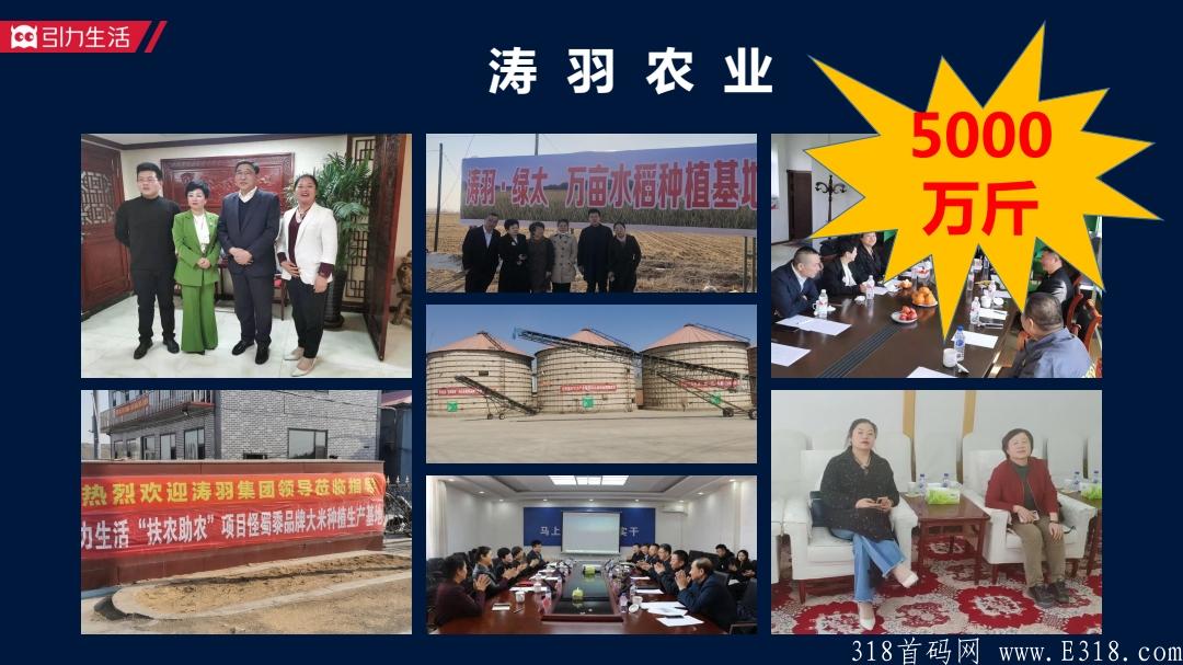 引力生活，全民免费领取怪蜀黍胚芽米