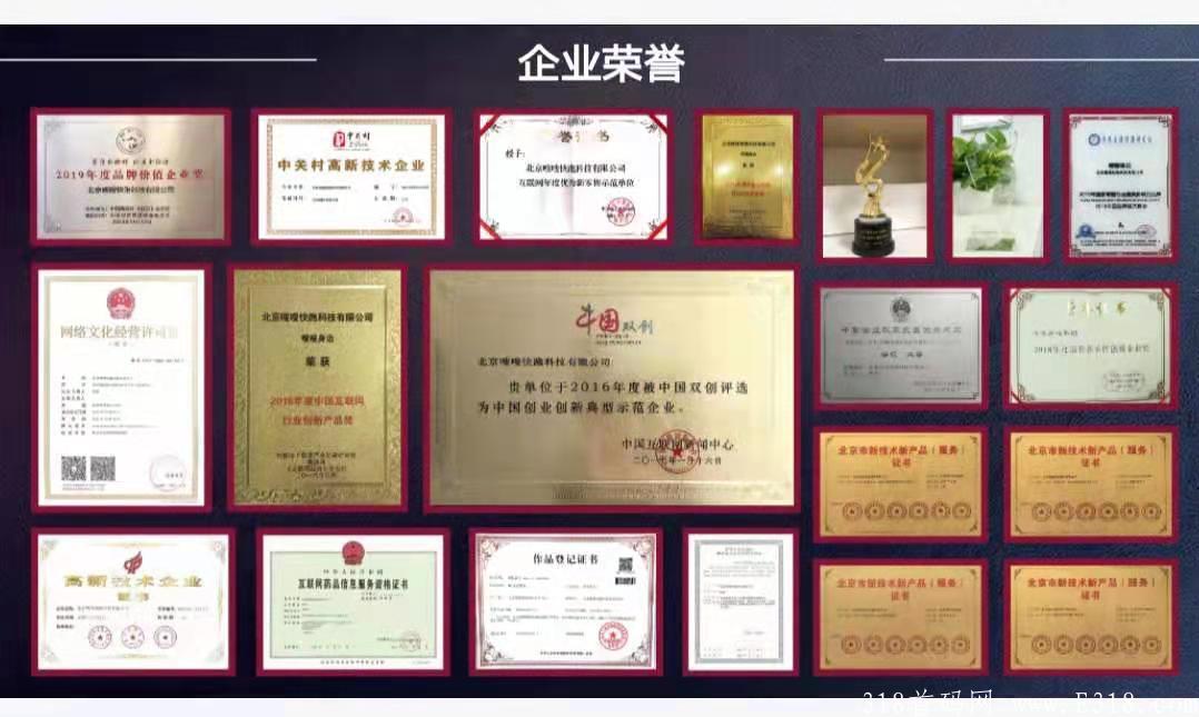 不看后悔，赚钱好项目，百亿老总投资，电商生活服务新巨头