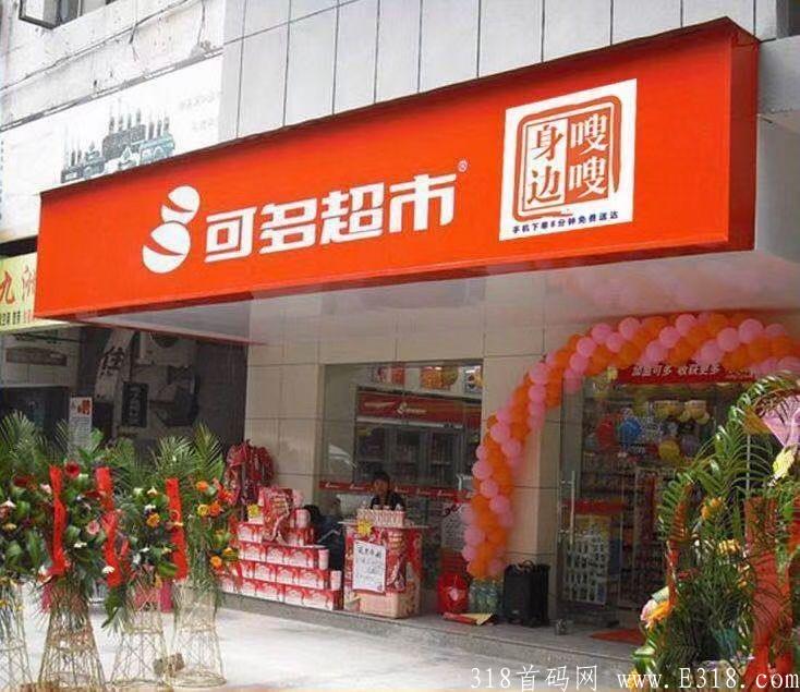 不看后悔，赚钱好项目，百亿老总投资，电商生活服务新巨头