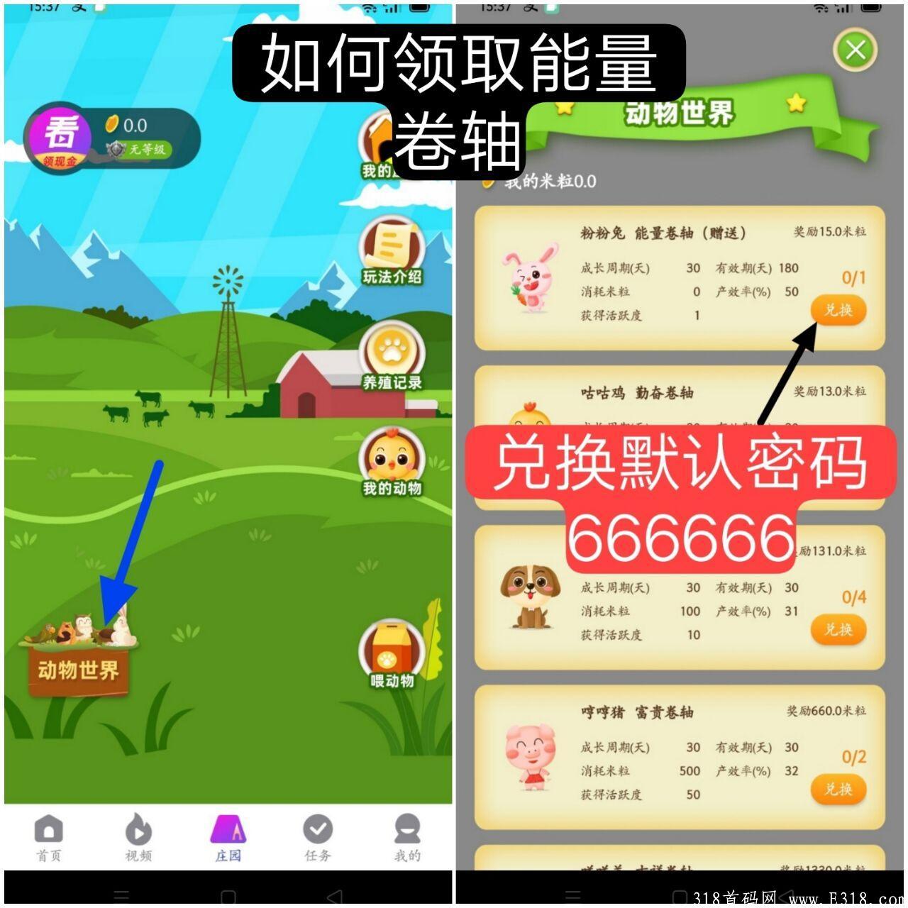 7月1日首码 新手送15米粒 开盘5元 托底1000排线的来