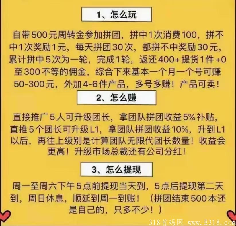 绿色篮子首码