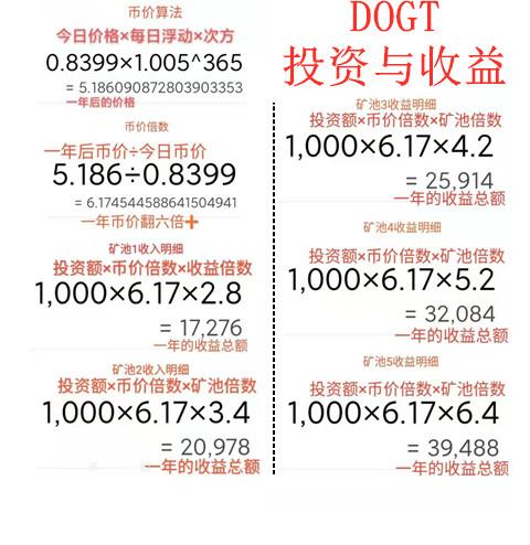 DOGT狗狗通证波场公链DAPP 抓住DOGT 财富之门已开启 一个项目做一年