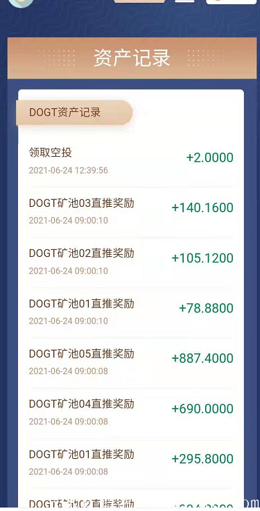 DOGT狗狗通证波场公链DAPP 抓住DOGT 财富之门已开启 一个项目做一年