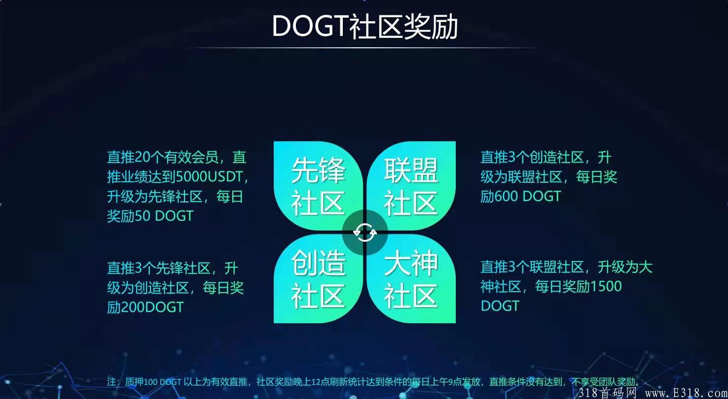 DOGT狗狗通证波场公链DAPP 抓住DOGT 财富之门已开启 一个项目做一年