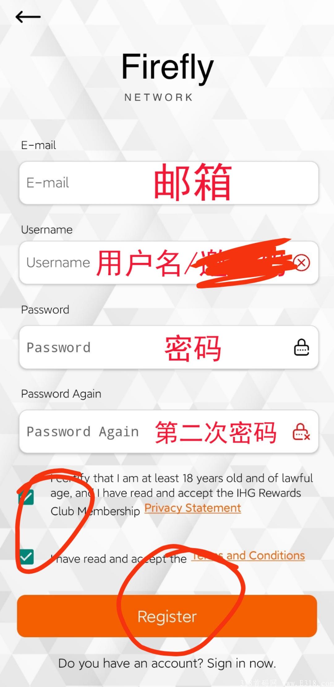 国外项目萤火虫爆火