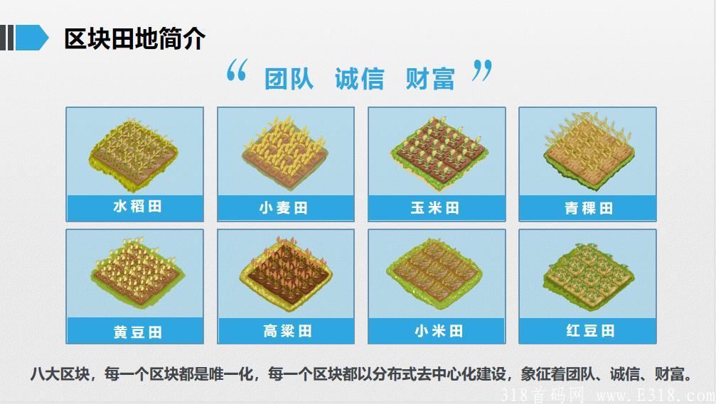 4区块田简介.jpg 一亩金田首码团队招募
