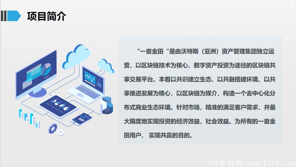 1项目简介.jpg 一亩金田首码团队招募