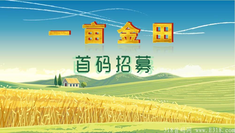 封皮.jpg 封皮.jpg