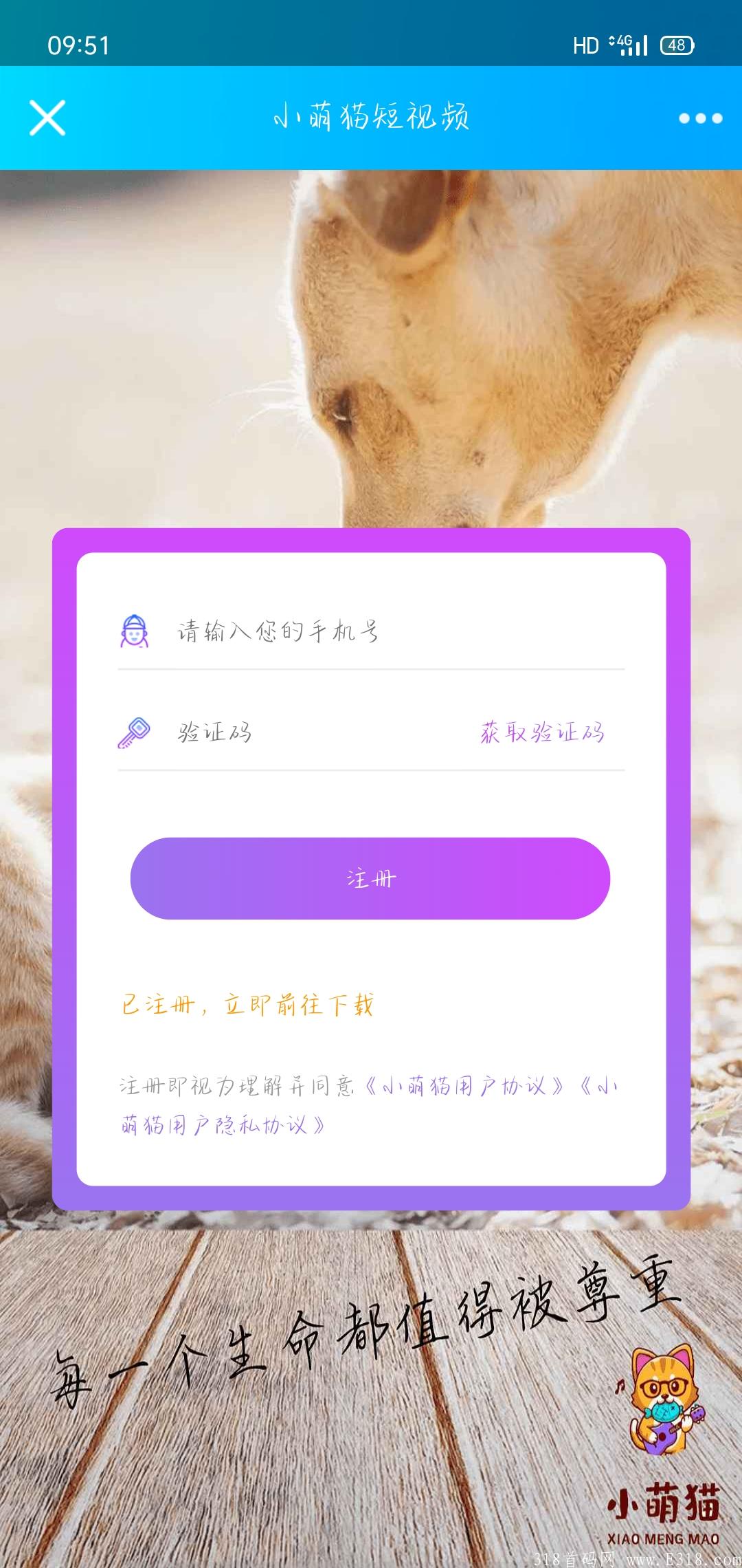 小萌猫，首码上线了，同步上线应用商城，有实体宠物用品依托，妥妥的下一个蚁丛，大家抓紧入场
