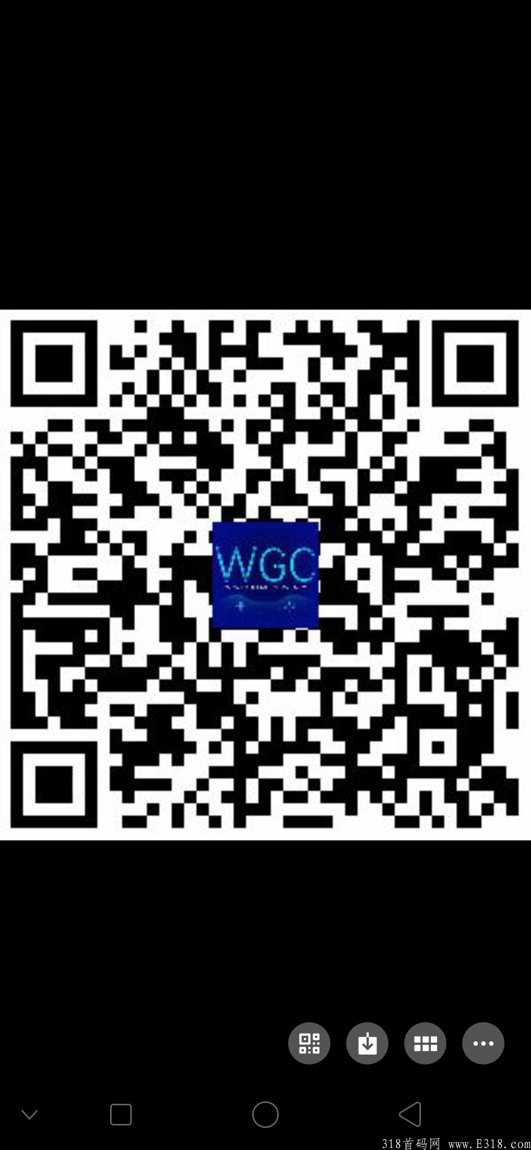 wgc0撸