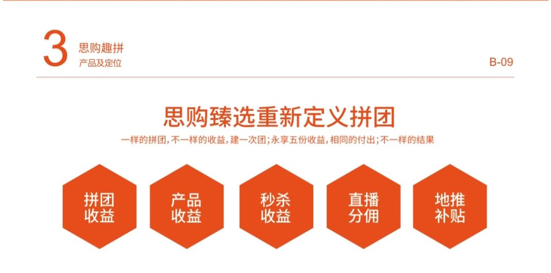思购臻选-趣拼项⽬