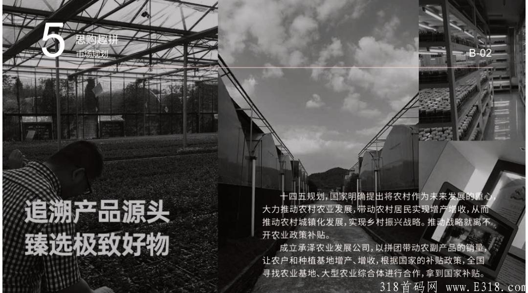 思购臻选-趣拼项⽬