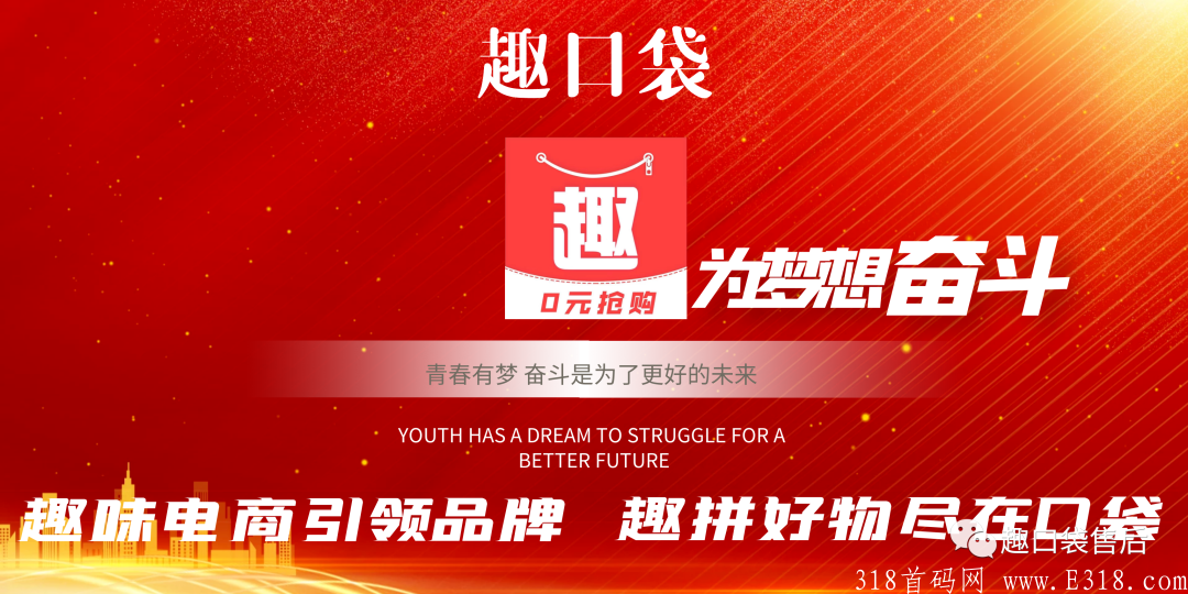 趣口袋：最成熟稳定的拼团模式，扶持每个月40元的VIP！