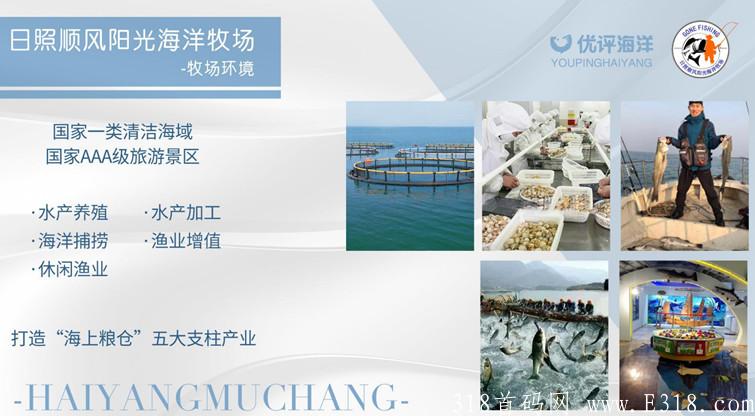 优评海洋是什么？