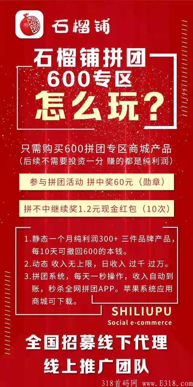 石榴铺永久拼团进来了解一下不扣本金