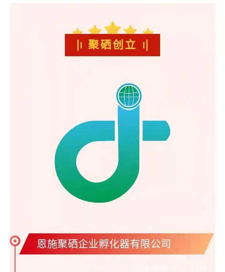 首码内排，招募团队，错过陆羽羊楼洞，不要错过聚硒，2021黑马项目