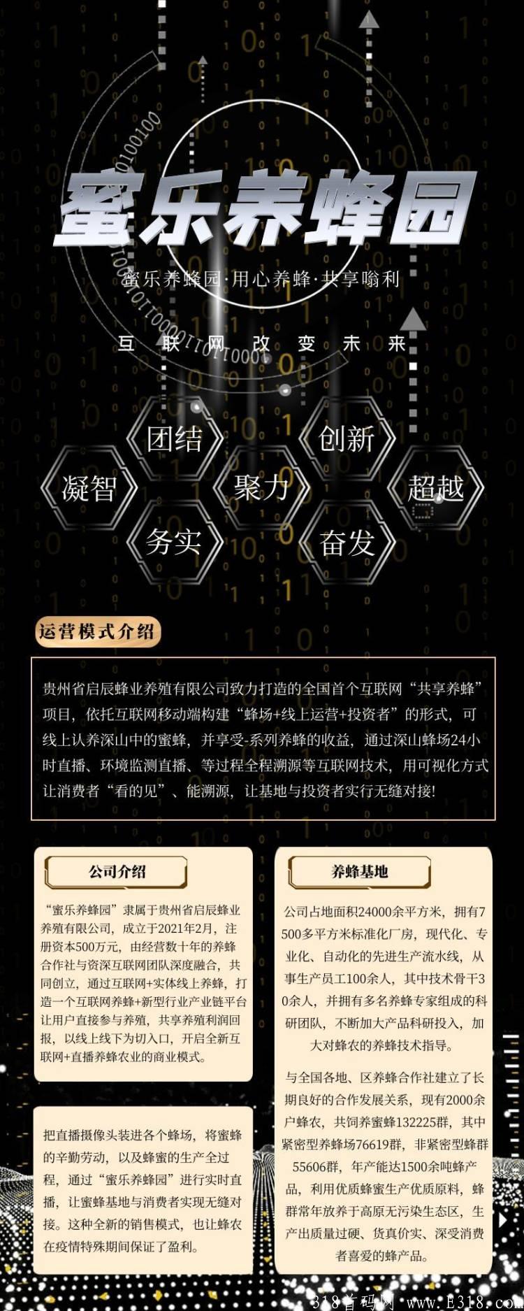 8.6首码刚出一秒