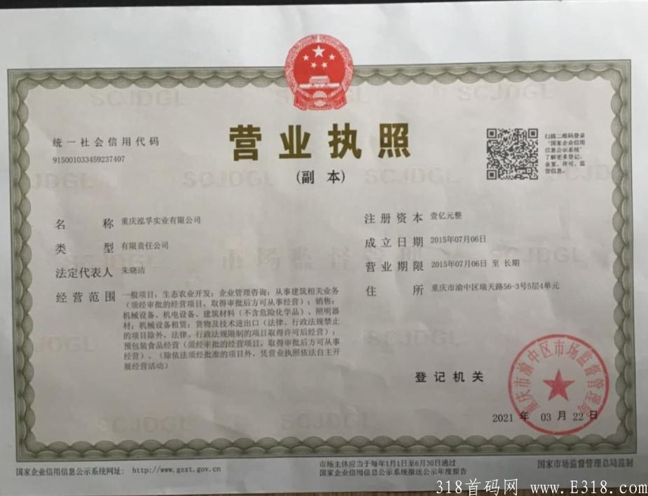 2021夏天黑马项目泓孚运动，火爆对接中